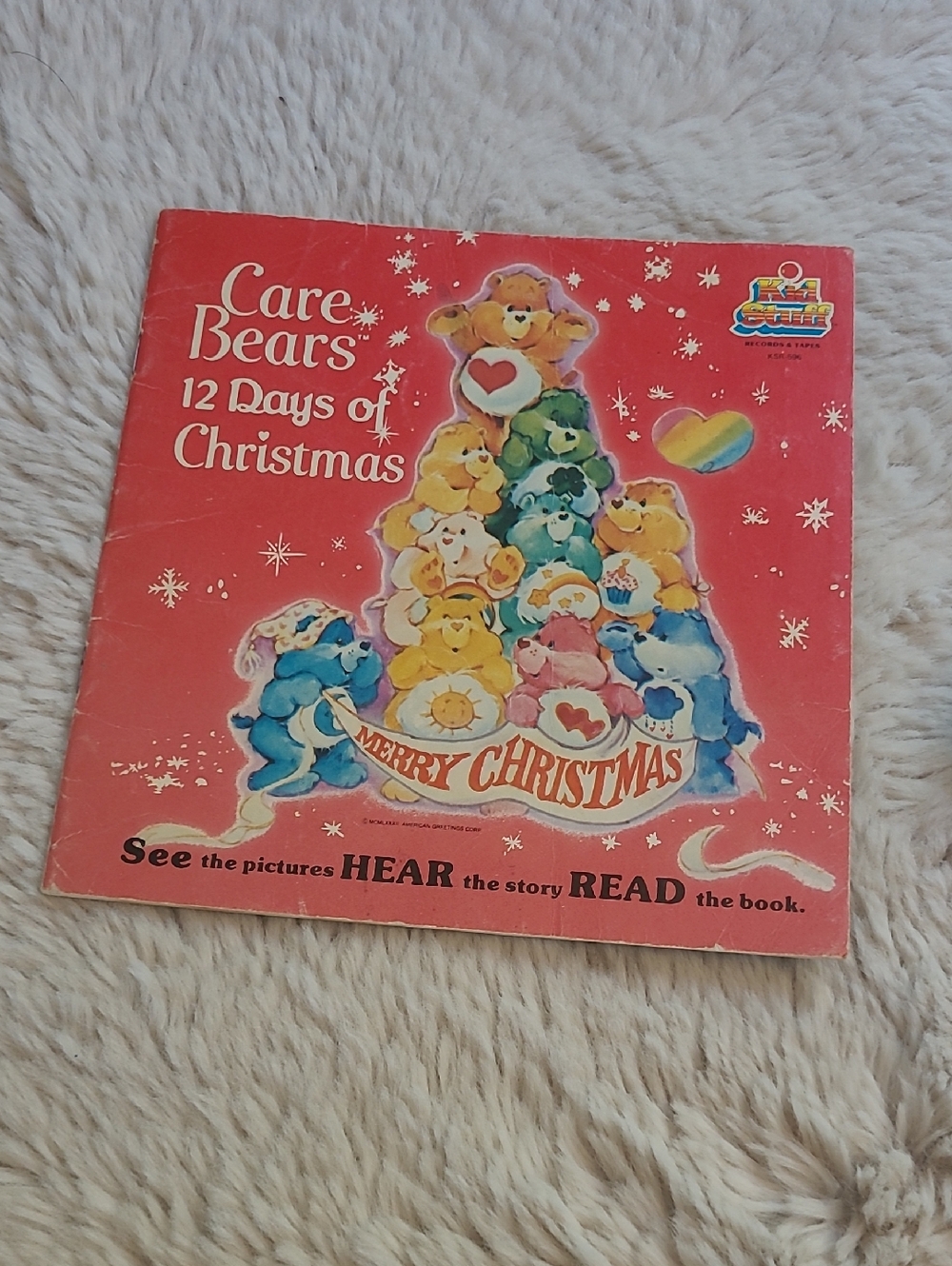 Care Bears Holiday Storybook 12 Days Of Christmas